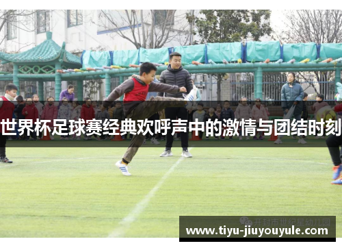 世界杯足球赛经典欢呼声中的激情与团结时刻