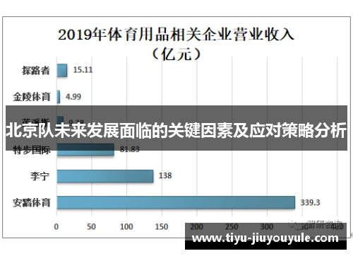 北京队未来发展面临的关键因素及应对策略分析