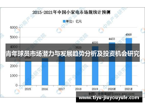 青年球员市场潜力与发展趋势分析及投资机会研究