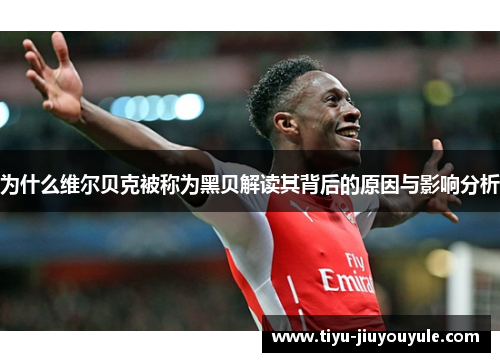 为什么维尔贝克被称为黑贝解读其背后的原因与影响分析 为什么维尔贝克被称为黑贝解读其背后的原因与影响分析