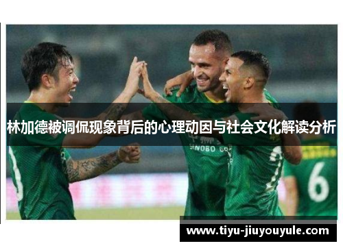 林加德被调侃现象背后的心理动因与社会文化解读分析 林加德被调侃现象背后的心理动因与社会文化解读分析